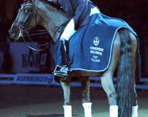 Carola Koppelmann and Desperado OLD win the 2011 Nurnberger Burgpokal Finals :: Photo © Barbara Schnell