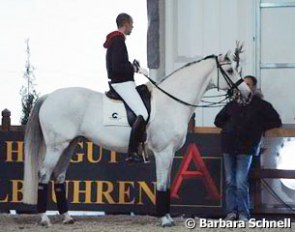 Hans Peter Minderhoud brought his new ride, Silvia Rizzo's Donna Silver, to Frankfurt for some training