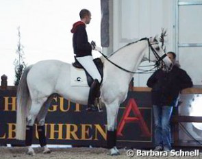Hans Peter Minderhoud brought his new ride, Silvia Rizzo's Donna Silver, to Frankfurt for some training