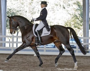 Lisa Wilcox and Pikko del Cerro HU at the 2011 Gold Coast Opener CDI :: Photo © Sue Stickle