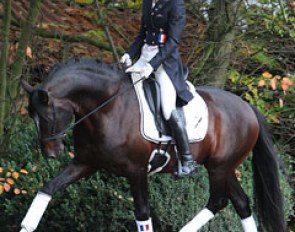 Alizee Froment warming up Mistral outside before her demo