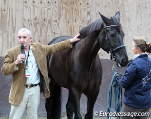 Equitation scientist Andrew McLean at work :: Photo © Astrid Appels