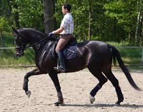 Matthias Schneider schooling De La Sandrina at home