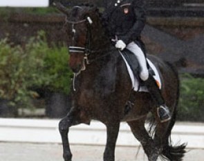 Steffen Peters overcomes the rain and wins the Grand Prix at the 2011 U.S. Dressage Championships :: Photo © Sue Stickle