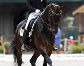 Steffen Peters and Weltino's Magic Win the Intermediaire I at the 2011 U.S. Dressage Championships :: Photo © Sue Stickle