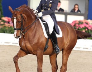 Katrin Bettenworth was able to qualify two out of three horses for the second Young Horse Grand Prix class in Hagen. Here you see her on Die Insel (by Diamond Hit x Inselfurst)