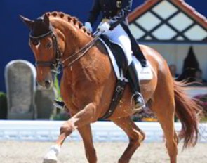 Nadine Capellmann on Elvis VA