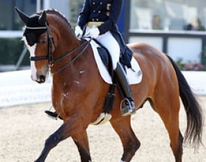 Jill de Ridder took over the ride on her mom's Grand Prix horse Wellington (by Wanderer)