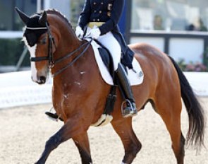 Jill de Ridder took over the ride on her mom's Grand Prix horse Wellington (by Wanderer)