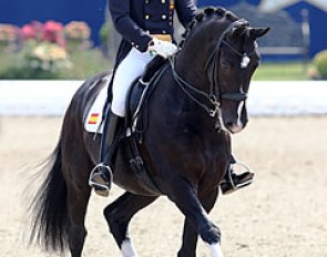 Jordi Domingo and Prestige at the 2011 CDI Hagen