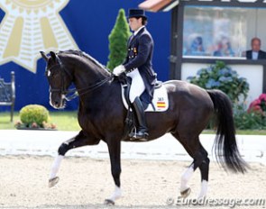 Jordi Domingo brought Prestige back to the show ring after a long period of injury. He rode with the handbrake on. No trot extensions whatsoever and several mistakes kept the score low. With more time and routine they'll get back on form.