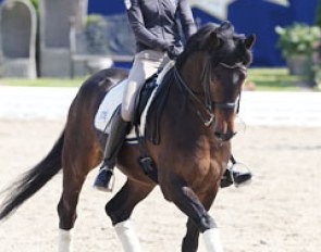 Annabel Frenzen on Cristobal. She was one of very few riders wearing a helmet at the 2011 CDI Hagen.