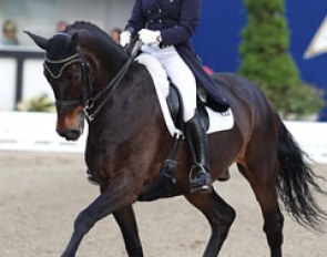 25-year old Geertje Hesse was the youngster competitor in the Championships. She rode the youngest horse in the field: the 9-year old Salazar (by Sunny Boy x Werther)