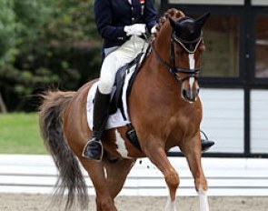 Sophie Kampmann on Den Ostriks Dailan. The rider was struggling to keep the pony going forward but still put down an accurate test