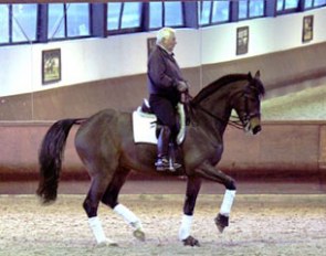 Ullrich Kasselmann on Legolas at home in Hagen, Germany 