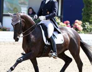 Michael Klimke on the Trakehner bred mare Berti's Biene (by Biotop)