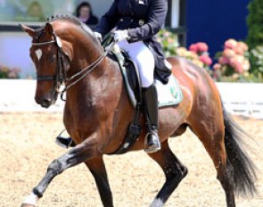 Anna Lena Kracht on the gorgeous Trakehner stallion Kasimir TSF