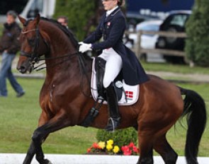 Danish Nanna Skodborg Merrald on the Norwegian owned stallion JJ Rocco (by Regazzoni)