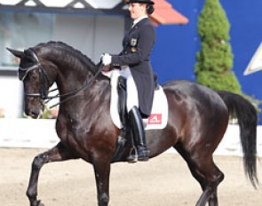 Victoria Michalke on the handsome 9-year old Oldenburg gelding Dance On (by Dream of Heidelberg x Welt As)