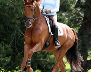 Hof Kasselmann in-house rider Eva Möller schooling a youngster who will be in the upcoming 2011 P.S.I. Auction