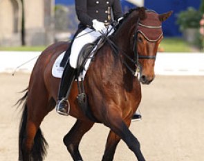 Dorothee Schneider and Forward Looking win the 2011 Hagen Tesch Inkasso Cup Qualifier :: Photo © Astrid Appels