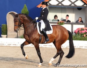 Dorothee Schneider on Forward Looking (by Fidermark x Dinard L)