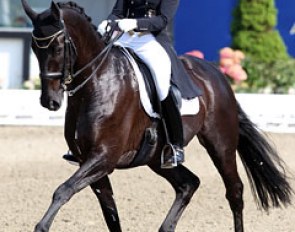 Dorothee Schneider and Van the Man at the 2011 CDI Hagen :: Photo © Astrid Appels