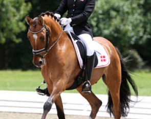 Caroline Bording Smidt on PSW Desperado at the 2011 CDI-P Hagen :: Photo © Astrid Appels