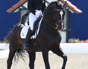 Martina Spada on Welfenadel at the 2011 CDIO-JR Hagen :: Photo © Astrid Appels