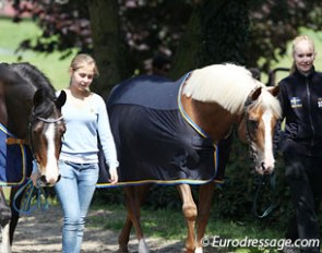 Swedish pony riders Josefine Ivarsson Märtensson and Isabella Tove taking Cracker Jack and Magic Golden Boy for a walk