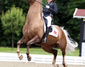 Flying high winning the CDI Compiegne two weekends ago, but in Hagen it was more literal. Naughty Natalina took off in the extended trot but Vallentin remained brave and finished the ride admirably