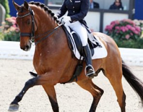 Lorraine van den Brink and Murdock at the 2011 CDI Hagen :: Photo © Astrid Appels