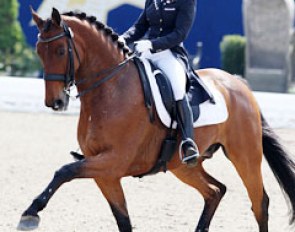 Lorraine van den Brink was one of only two Dutch riders competing in Hagen. Here you see her on Murdock (by Balzflug)