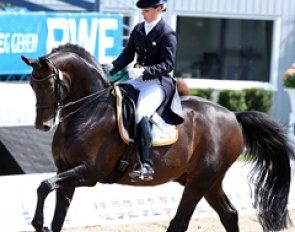 Mirelle van Kemenade-Witlox on the Oldenburg stallion Dreamcatcher, which she bought at the P.S.I. Auction