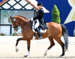 Dusseldorf based Belgian Johan Zagers on the Danish bred Question de Liberté (by Quidam de Revel)