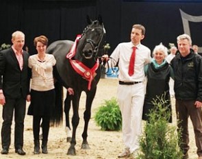 ERA Dancing Hit, champion of the 2011 Danish Stallion Licensing :: Photo © Ridehesten.com