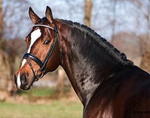 Oscar (by Wolfgang x Nabuur) :: Photo © Sjoert Pegge