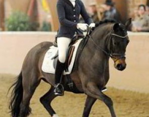 Die Kleine Liebe & Julia Schulze Frenking. A lovely pair! The pony got a bit BTV but still showed willingness and esprit. Why these two were sent home with only 63.8% was the mystery of the day: they certainly deserved the sympathy award!