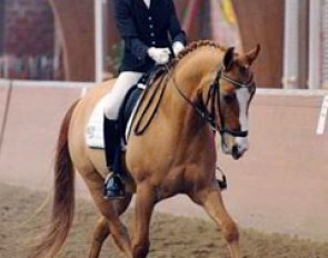 Celine König works miracles with Dorn, one of those Dornik offspring that are overly long in the back. To present a pony like this with so much engagement from behind is quite an achievement. At 64.4%, these two were a bit under-scored as well.