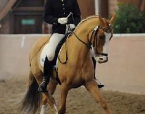 A rider with a steep learning curve who presents Danny H in a very adept and clever way: Saskia Neuland scored 68.2% -- 2nd place in the second group