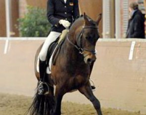 Der feine Lord won group 1 somewhat curiously. Joline Thüning presented him with much feeling, and yet the pony lacked impulsion, moving his hind legs up instead of under the body, and freedom in the shoulders.