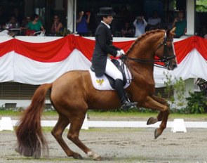Larasati Gading and Wallenstein at the 2011 South East Asian Games in Jakarta :: Photo © Horse Move Thailand
