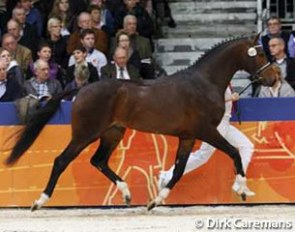 Dance L (by Tango x San Remo) :: Photo © Dirk Caremans