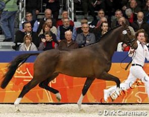 Dance Royal (by Wynton x Flemmingh) :: Photo © Dirk Caremans