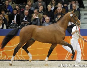 Davinci (by Valdez x Voltaire)