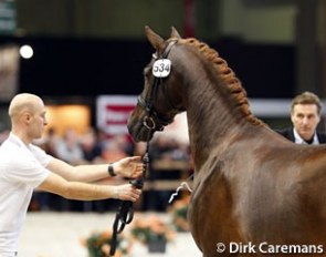 Jeroen Witte handling Dude, father Nico supervising
