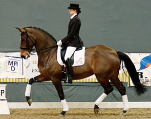 Annelies van Looveren on Agami van het Gestelhof :: Photo © Laurence Verheijen