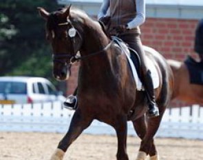 Helen Langehanenberg training Furst Khevenhuller