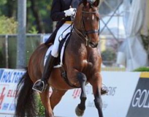 Hubertus Schmidt on the Trakehner stallion Imperio