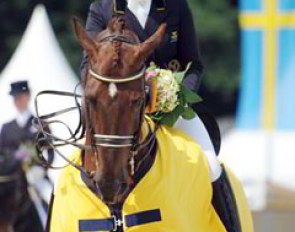 Tinne Vilhelmson on Favourit (by Fidermark x Worldchamp)